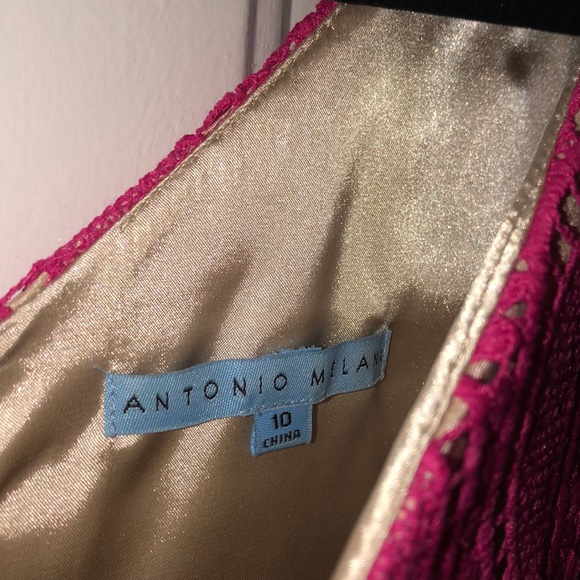 Antonio Melani Lace Dress - Picture 3 of 3